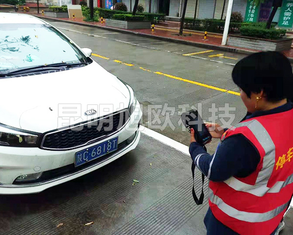 雙柏鄂嘉鎮(zhèn)路邊停車收費(fèi)系統(tǒng)